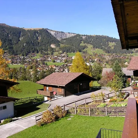 Apartment Chalet Dayuma Adelboden